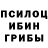 Галлюциногенные грибы мицелий Diazzling Pictures