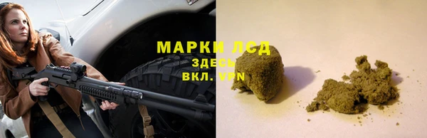 прущий лед Алзамай