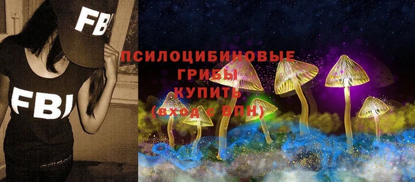 прущий лед Алзамай