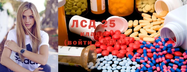 прущий лед Алзамай