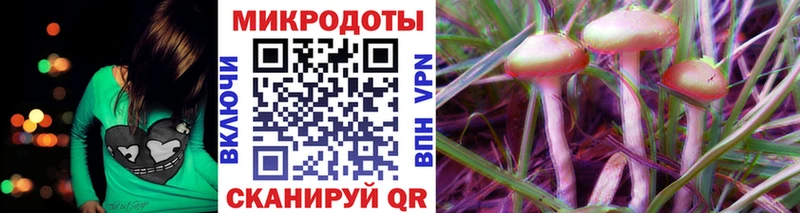 Псилоцибиновые грибы Psilocybine cubensis закладки Берёзовский